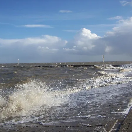 Regina An Der Nordsee No 5